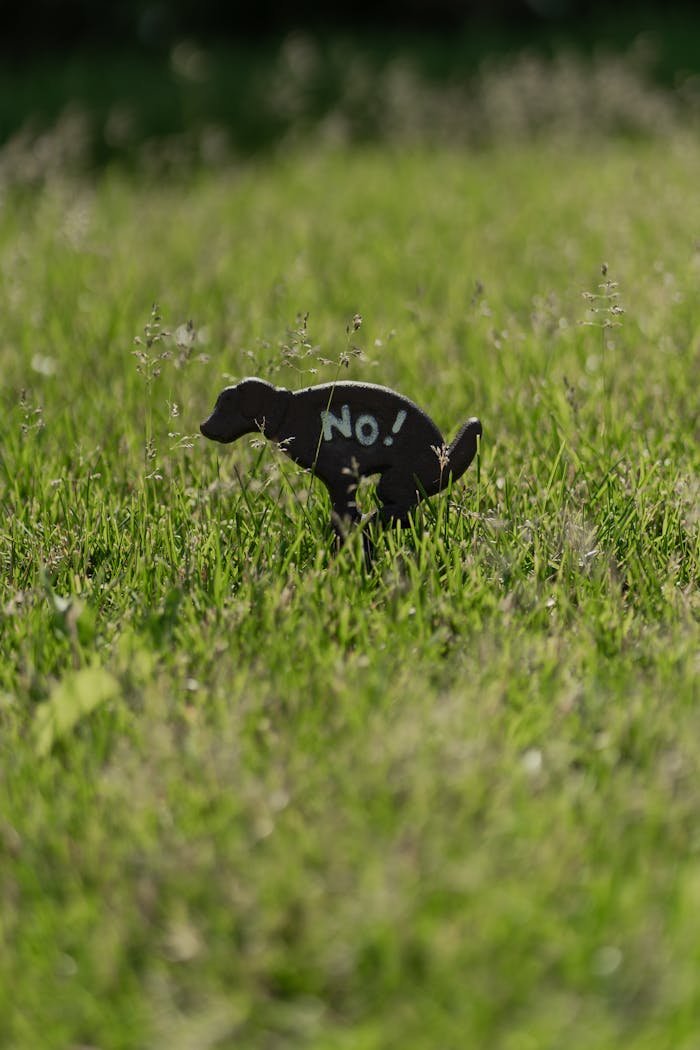 Iron dog sign with No! message on lush green grass, discouraging pooping.