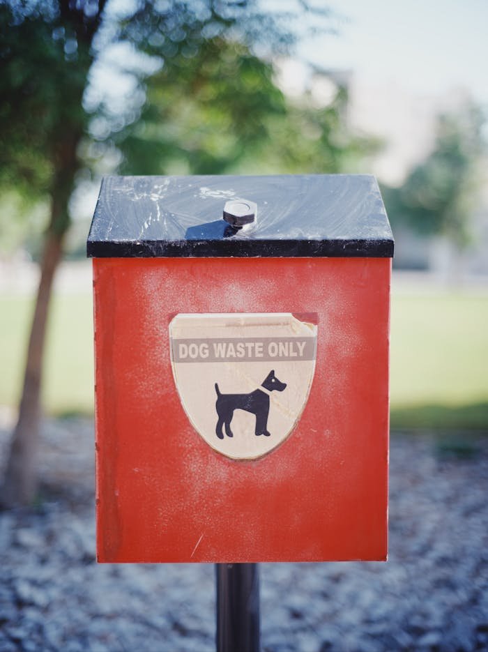 Close-up of a red dog waste bin in a park, ideal for outdoor cleanliness stock photos.